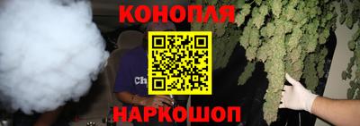 мдпв Гагарин