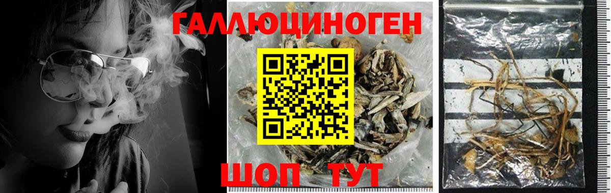 как найти закладки  Псилоцибиновые грибы прущие грибы  Вход с VPN  Киреевск 